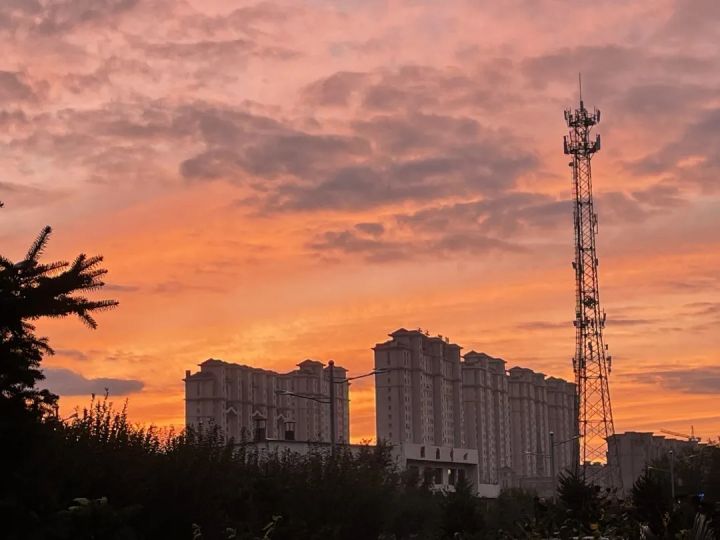 1635212454264301.jpg